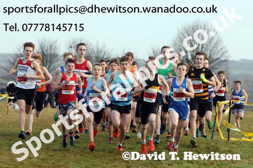Boys under-15s North Eastern Cross Country, Aykley Heads, Durham. Photo: David T. Hewitson/Sports for All Pics